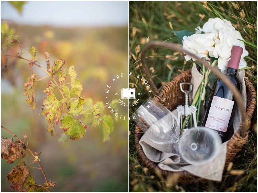 Cincinnati Winery Engagement Session_2401.jpg