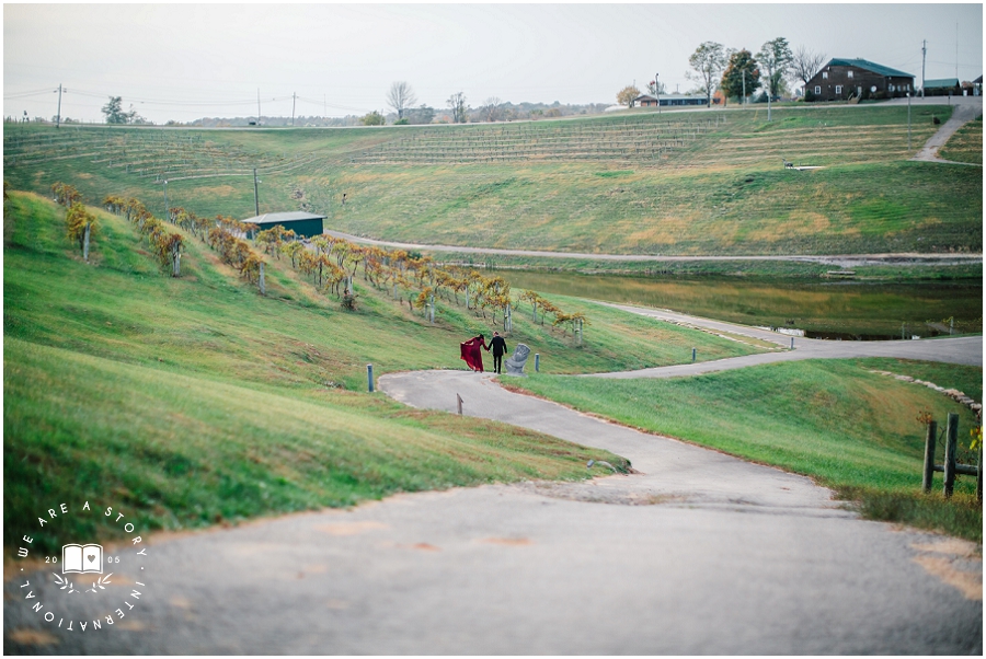 Cincinnati Winery Engagement Session_2409.jpg